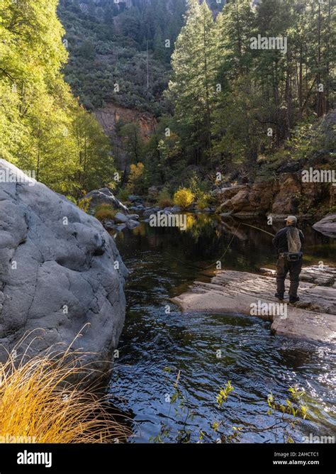 Fly fishing Oak Creek, Oak CReek Canyon, Sedona, Arizona Stock Photo ...