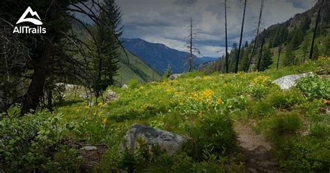 10 Best trails and hikes in Lowman | AllTrails