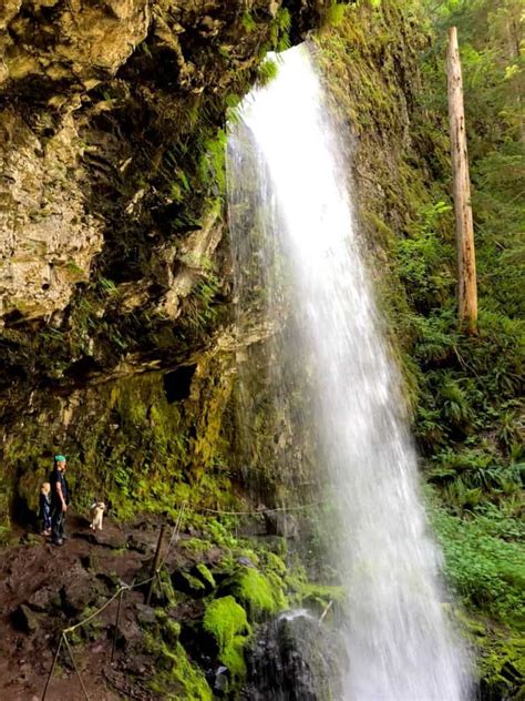 Stunning Gifford Pinchot National Forest: Camping, Waterfall Trails + More