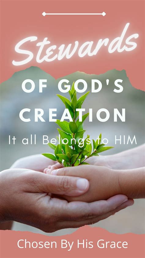 Stewards of God's Creation - It All Belongs To Him in 2022 | Gods ...