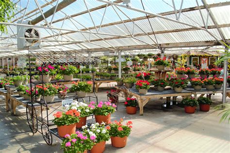 greenhouse | Stutzmans Greenhouse & Garden Centers