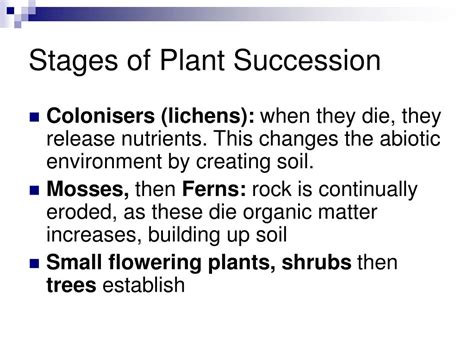 PPT - 7. Ecological Succession PowerPoint Presentation, free download ...