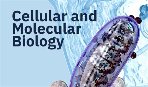 Cellular and Molecular Biology Research - Department of Biology