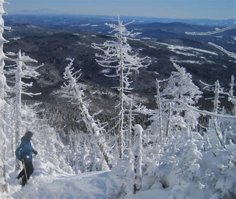 Mad River Glen, VT | NY Ski Blog