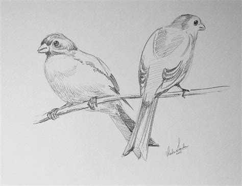 How to Draw Birds - Video Lesson by Drawing Academy | Drawing Academy