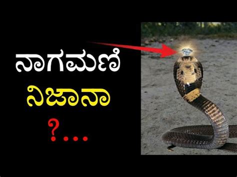 Nagamani | Snake stone | Kannada | Surya Murugan - YouTube