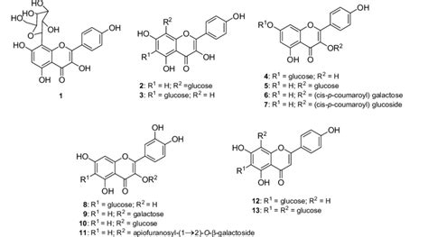 Chemical structures of the isolated compounds kaempferol... | Download ...