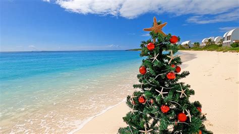 Coastal Christmas: 6 Hours of Relaxing Holiday Ambience on The Beach ...