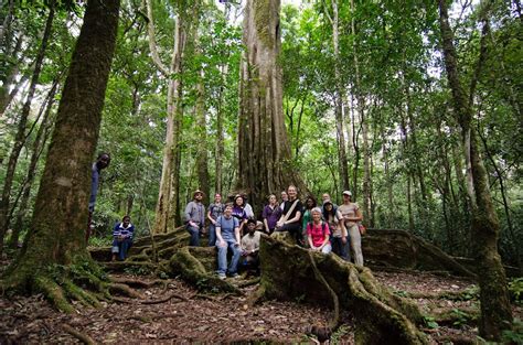 Kakamega Forest National Reserve - Bwindi Forest National Park