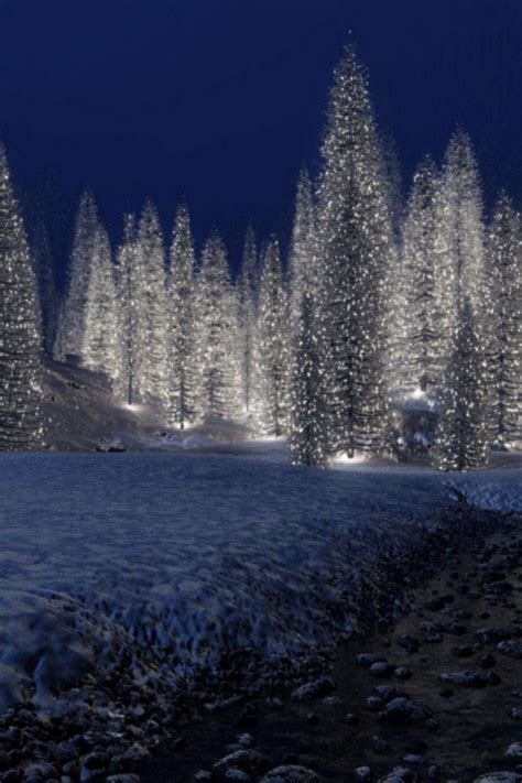 Snowy Christmas Scenes Wallpaper - WallpaperSafari