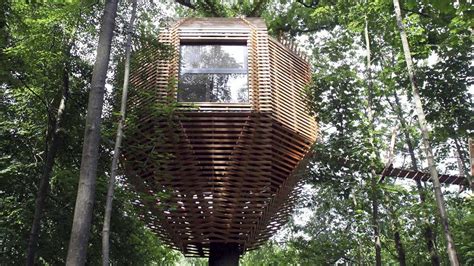 Luxury 'bird's nest' tree house doubles as hotel and spa - 9Travel