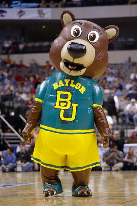 Why Your Mascot Sucks: Baylor University Bears - Bucky's 5th Quarter