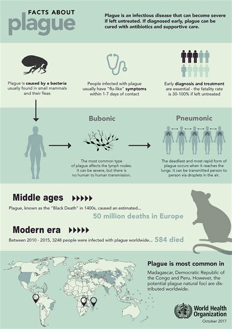 Black Plague Symptoms And Treatment