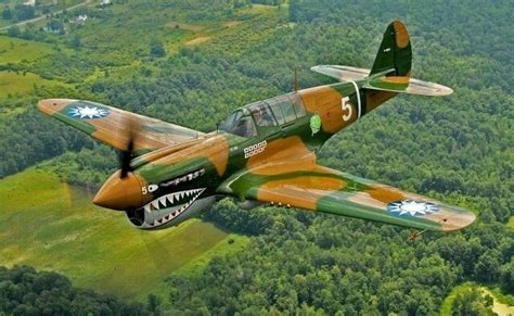 P-40 Warhawk of the AVG Flying Tigers | Aircraft, Wwii airplane ...