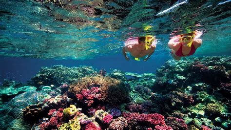 Solomon Islands - Scuba Diving and Snorkel — Go Tours Travel