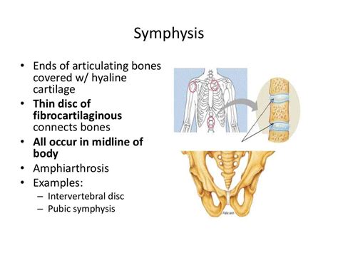 Arthrology