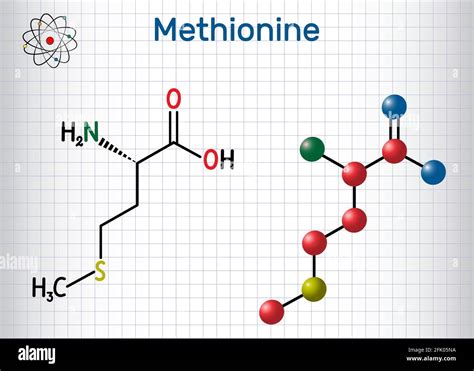 Methionine (l- methionine, Met , M) essential amino acid molecule ...