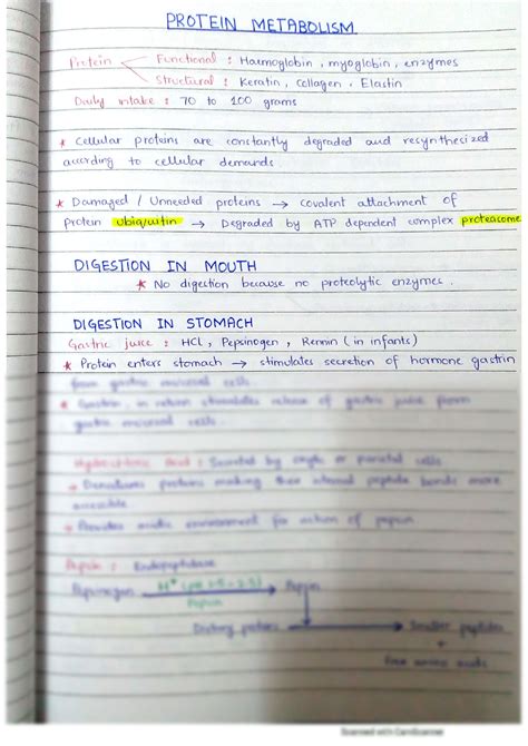 SOLUTION: Protein metabolism - Studypool