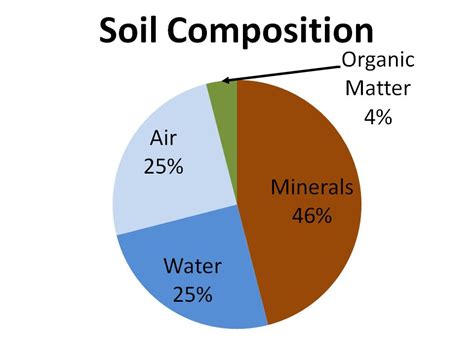 Full Spectrum Biology: Organic vs. Traditional Farming: Is it worth the ...