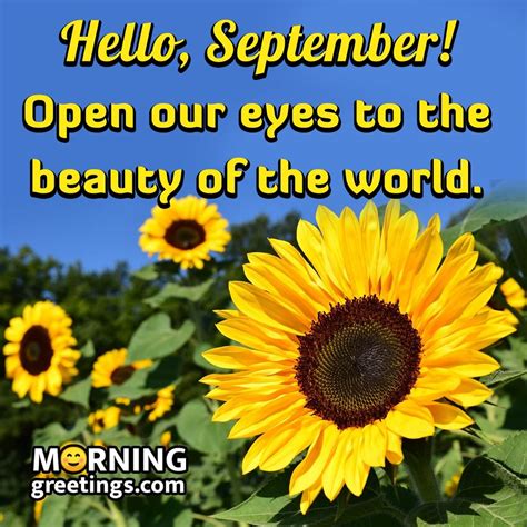 40 Best September Morning Quotes And Wishes - Morning Greetings ...