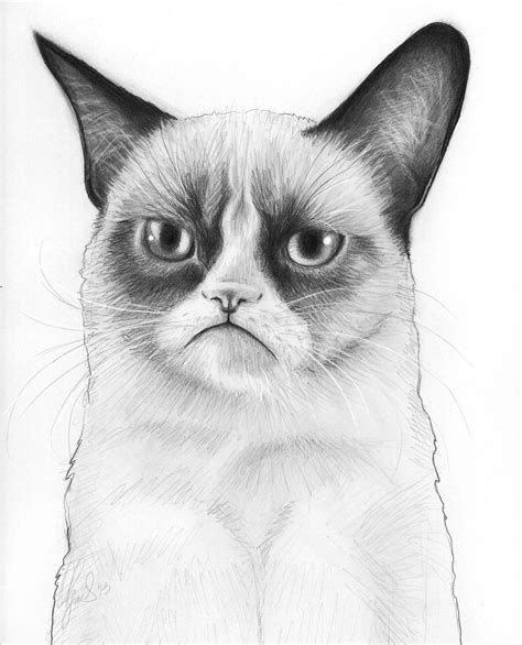 18+ Cat Drawings, Art Ideas, Sketches | Design Trends - Premium PSD ...