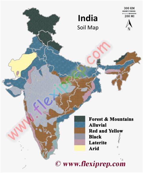 Soil Map Of India - India Map Vector Png Transparent PNG - 969x1121 ...