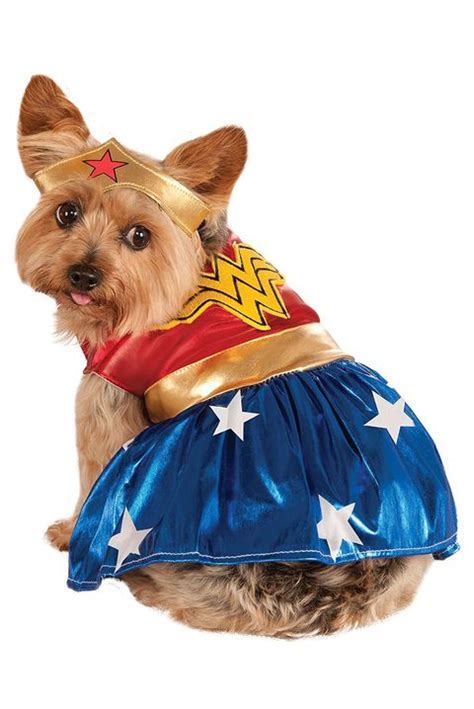 52 Dog Halloween Costumes - Cute Ideas for Pet Costumes