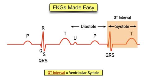 Qrs Complex, Ekg Interpretation, P Wave, Conduction, Explained, Meant ...