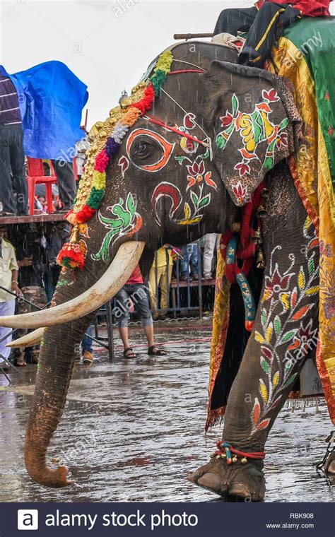 Download this stock image: Decorated elephants at Mysore Dussehra ...