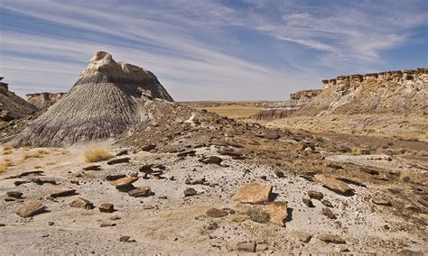 Petrified Forest National Park | Grand Canyon Trust