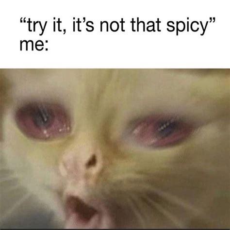 I can take spicy food. Just thought it was a funny meme. - Meme by ...