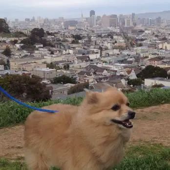 Kite Hill Open Space Viewpoint, San Francisco, CA - California Beaches