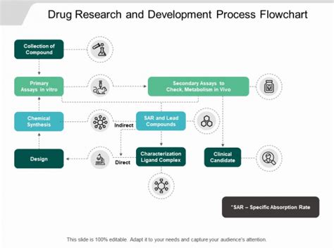 Drug Development Process Flowchart