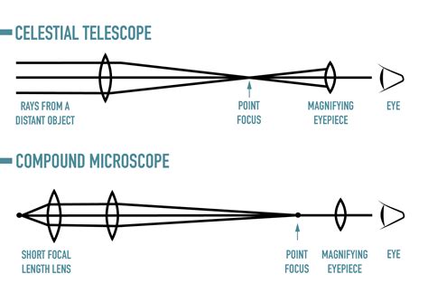 Reflector vs Refractor Telescope: Which is Better? (2024 Guide ...