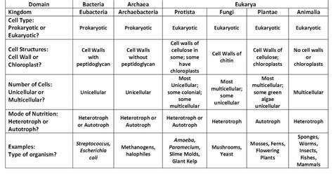 Analysis & Conclusion Questions - 6 Kingdoms of Life