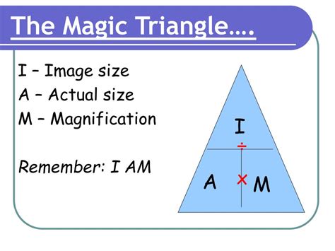 PPT - Title: Magnification PowerPoint Presentation, free download - ID ...