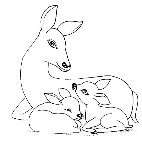 Mother Deer and Fawns coloring page - Download, Print or Color Online ...