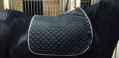 The 5 Best Dressage Saddle Pads: Comfort for your Horse - Equineigh