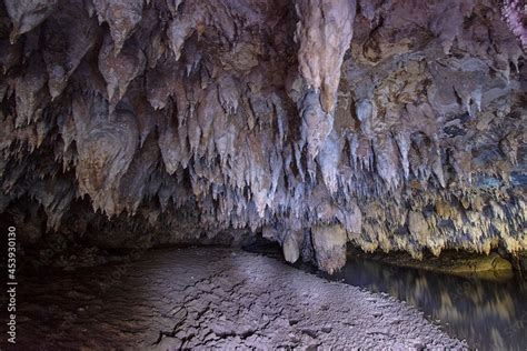 The dark cave is refracted by the flashlight Stock Photo | Adobe Stock