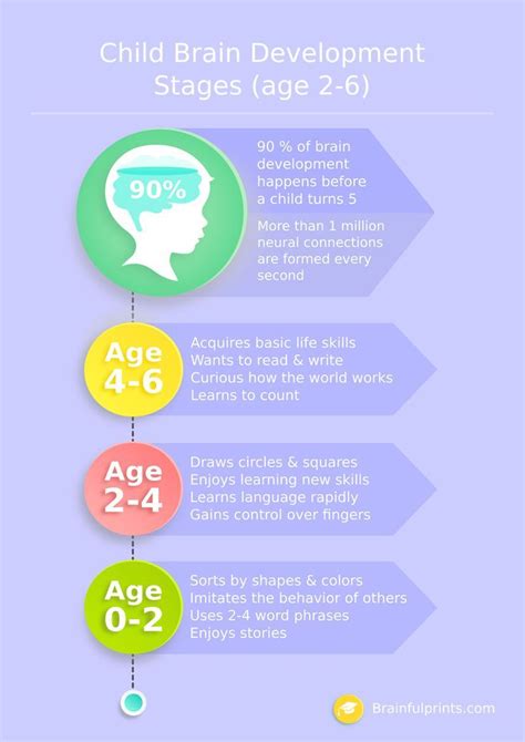 Child Brain Development Stages Age 2 6 Infographics Free Worksheets For ...