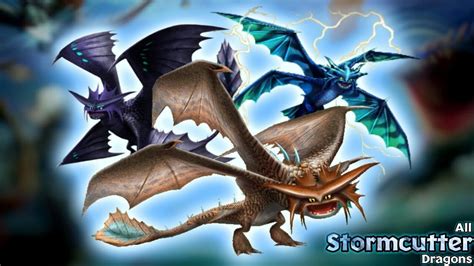 How To Train Your Dragon Stormcutter