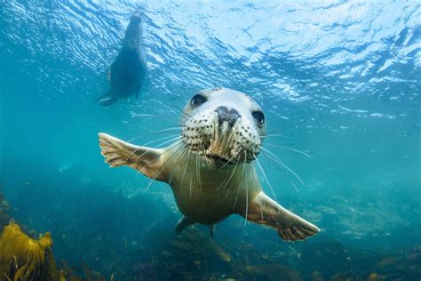 10 underwater photos that show the wonder of the ocean | OverSixty