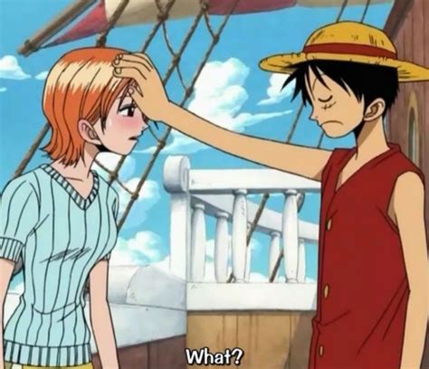 101 best images about LUFFY X NAMI on Pinterest | We heart it, Moment ...