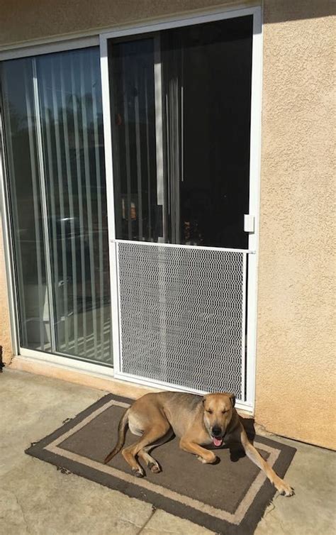 7 Best Dog-Proof Screen Door Options [2024 Update] | Pet screen door ...