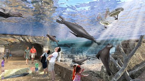 Houston Zoo launches capital campaign for new exhibits, campus ...