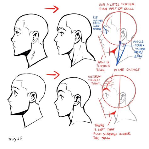 миюли miyuli on Twitter | Drawing tutorial face, Face profile drawing ...