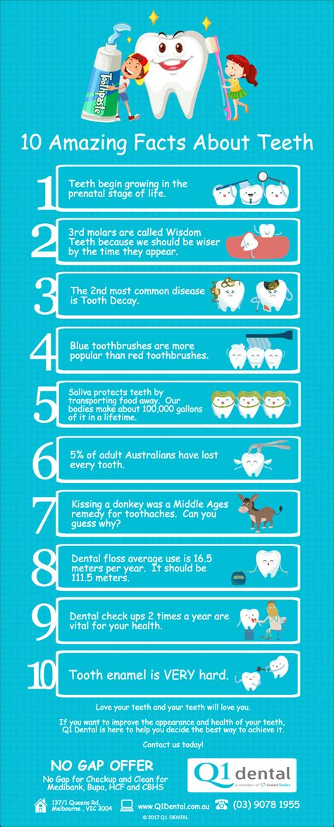 10 Amazing Facts About Teeth | Q1 Dental