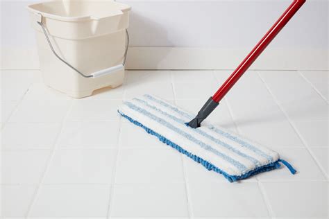 6 Different Types of Mops and Their Uses