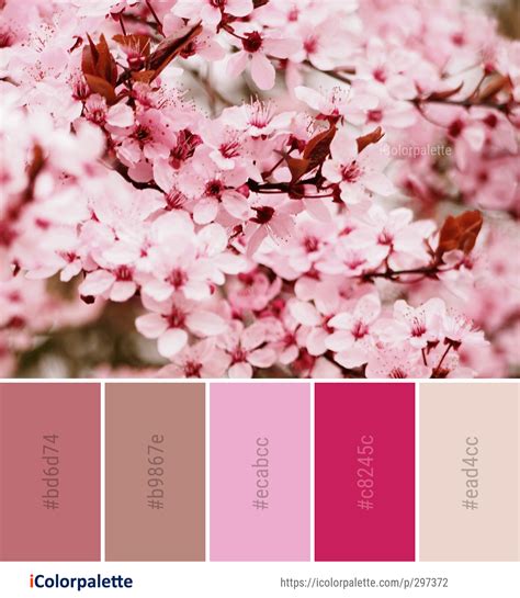 Cherry Blossom Pink