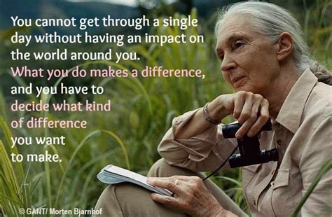 These Jane Goodall Quotes Will Inspire You to Save the World - EcoWatch